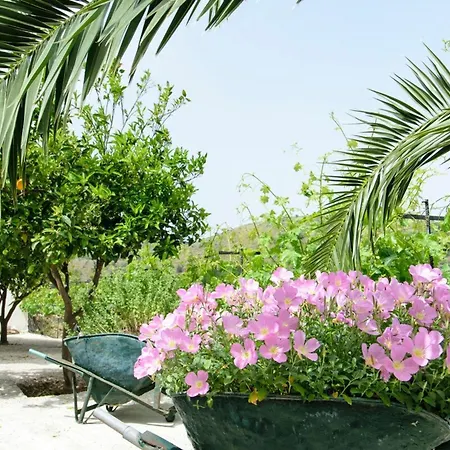 Holiday home Ortaki Traditional House Loulos