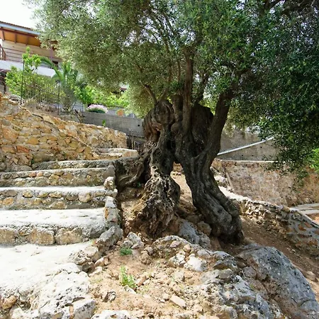 Ortaki Traditional House *