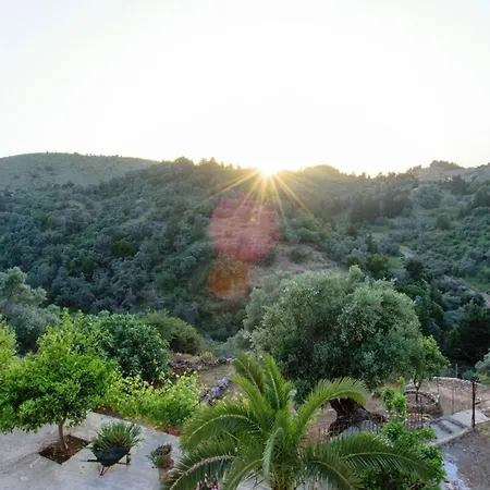 Ortaki Traditional House Holiday home